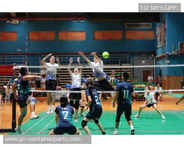 广州排球队心理素质排名第六揭示排球运动员心理素质的重要性与提升路径