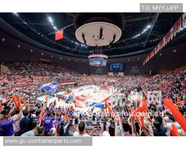 独家解析：杭州篮球队比赛经验的深度对比与启示